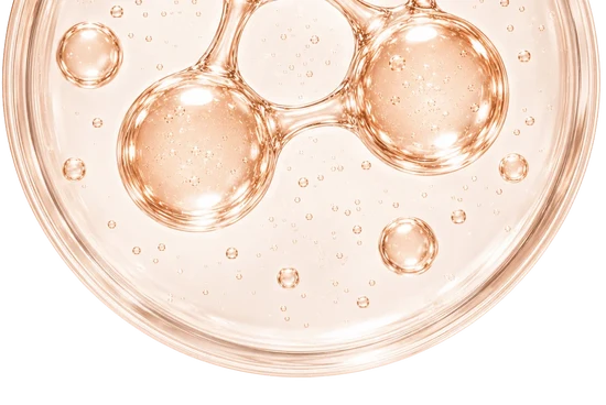 Galactomycete Ferment